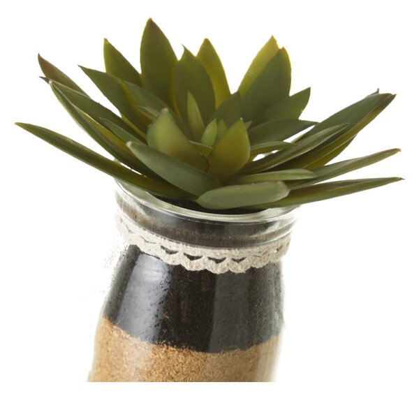 Sztuczne rośliny zestaw 4 szt. (wysokość 18 cm) Cactus – Casa Selección