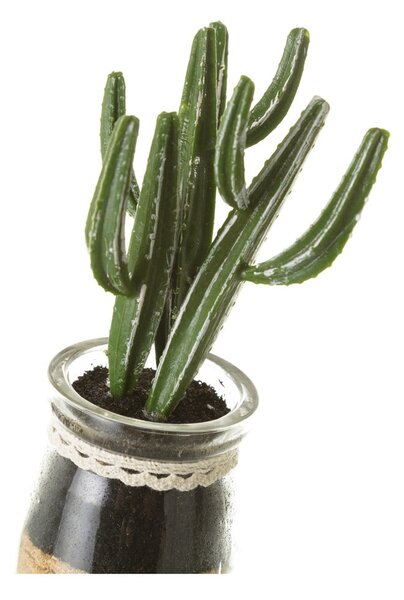 Sztuczne rośliny zestaw 4 szt. (wysokość 18 cm) Cactus – Casa Selección