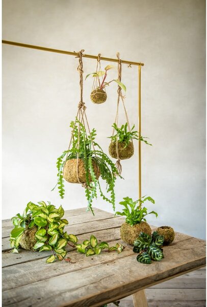Doniczka ø 9 cm Kokedama – Esschert Design