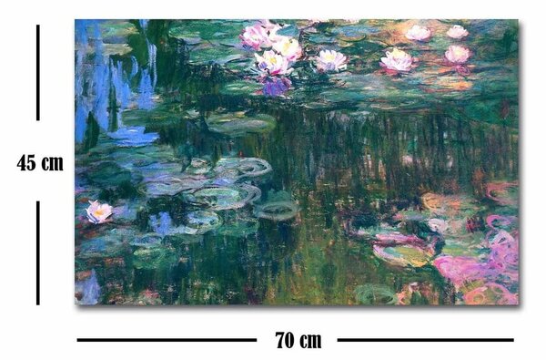 Reprodukcja obrazu na płótnie Claude Monet, 45x70 cm