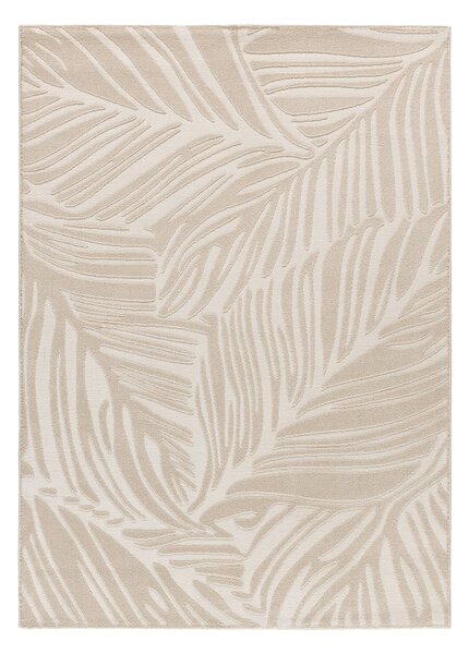 Kremowy dywan 80x150 cm Sensation – Universal