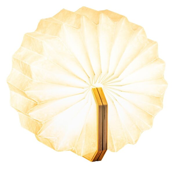 Dekoracja świetlna na USB w naturalnym kolorze Accordion – Gingko