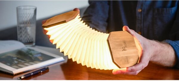 Dekoracja świetlna na USB w naturalnym kolorze Accordion – Gingko