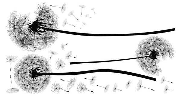 Komplet naklejek ściennych Ambiance Flying Dandelions