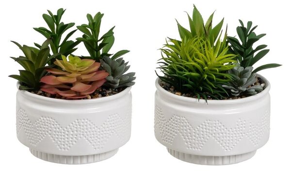 Sztuczne rośliny zestaw 2 szt. (wysokość 19 cm) Cactus – Casa Selección