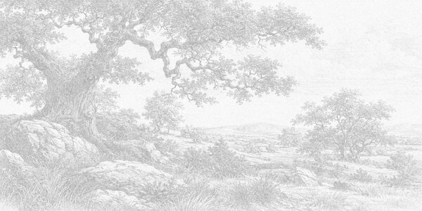 Fototapeta Rysunek przedstawiający drzewo i skały, Fototapety Natura, Popularne Fototapety, t00970 - Tapeko.pl