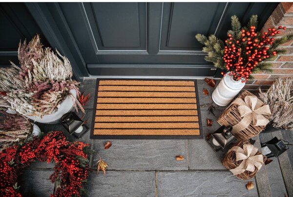 Wycieraczka z włókna kokosowego 45x75 cm Striped – Hanse Home