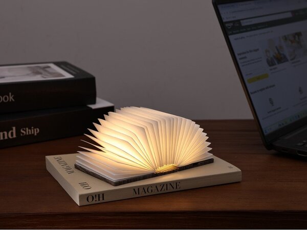 Dekoracja świetlna na USB w naturalnym kolorze BookLight – Gingko