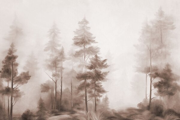 Fototapety Las o zróżnicowanej fakturze z wysokimi sosnami w odcieniach brązu, spowity delikatną mgiełką, Fototapety Natura, w09982v1 : Uwalls.pl
