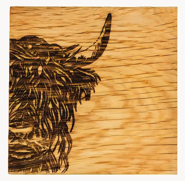 Komplet podstawek z drewna dębowego Highland Cow, 2 elem