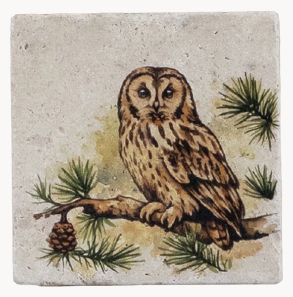 Komplet podstawek Tawny Owl, 4 elem