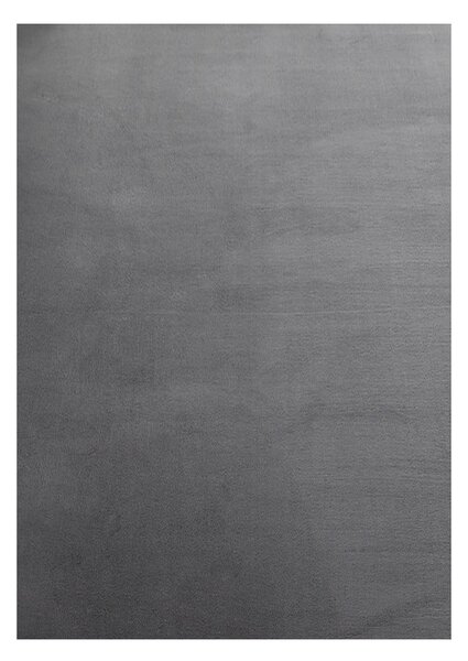 Szary dywan odpowiedni do prania 60x110 cm Sky – Ayyildiz Carpets