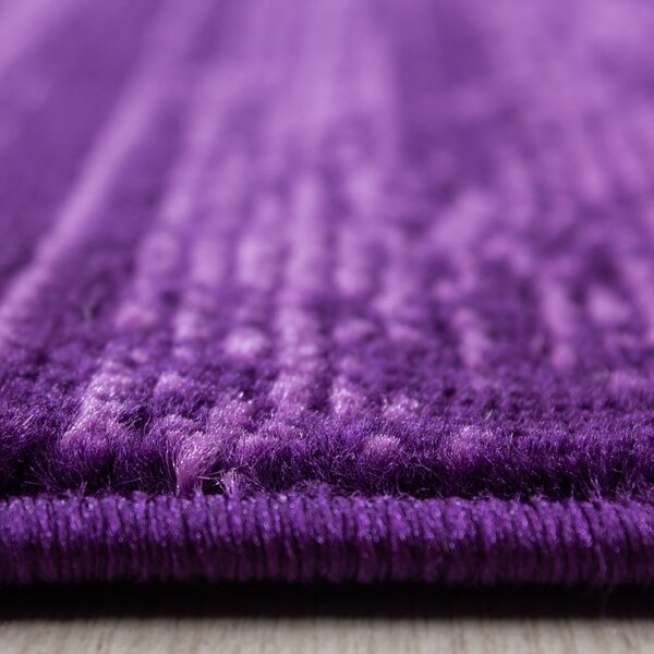 Ciemnofioletowy dywan 160x230 cm Plus – Ayyildiz Carpets