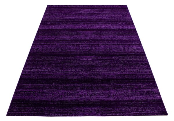 Ciemnofioletowy dywan 160x230 cm Plus – Ayyildiz Carpets