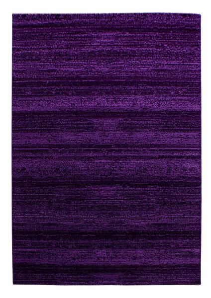 Ciemnofioletowy dywan 160x230 cm Plus – Ayyildiz Carpets