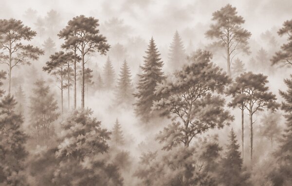 Fototapeta Zamglony las z drzewami, Fototapety Natura, Popularne Fototapety, t00854v1 - Tapeko.pl