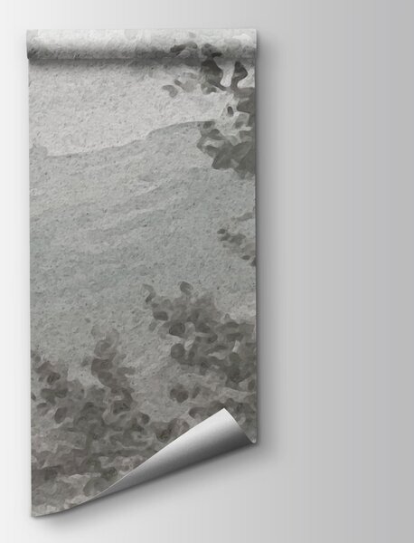 Fototapeta Szaro-biały krajobraz z drzewami i rzeką, Fototapety Natura, Popularne Fototapety, t00856 - Tapeko.pl