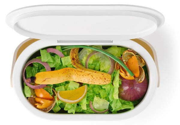 Biały pojemnik na odpadki organiczne 4 l Bellwood – Umbra