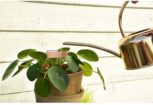 Metalowa konewka 1 l – Esschert Design