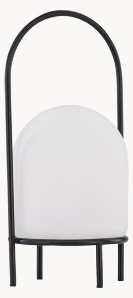 Lampa stołowa LED Colie