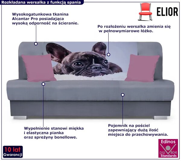 Szara rozkładana wersalka z motywem psa B6-H32