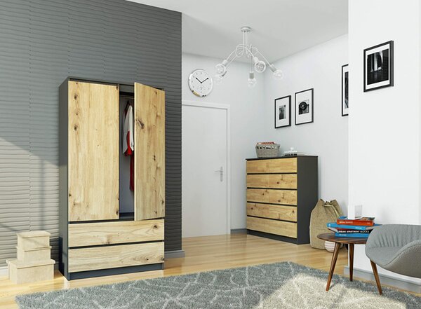 Dwudrzwiowa szafa szary + dąb artisan F4-D18