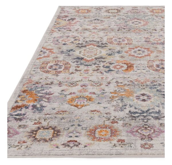 Beżowy dywan 230x160 cm Flores - Asiatic Carpets