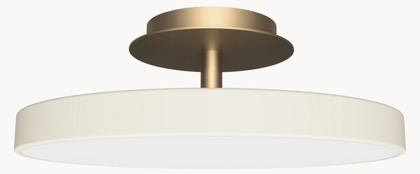 Lampa sufitowa LED z funkcją przyciemniania Asteria Up Plus Mini