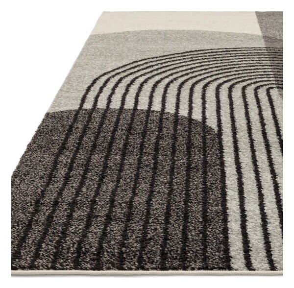 Dywan szary 170x120 cm Muse - Asiatic Carpets