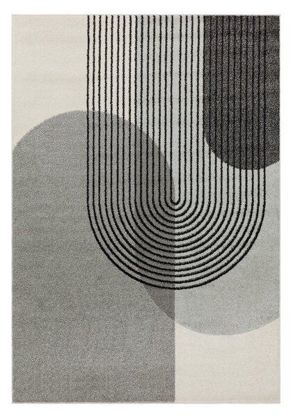 Dywan szary 170x120 cm Muse - Asiatic Carpets