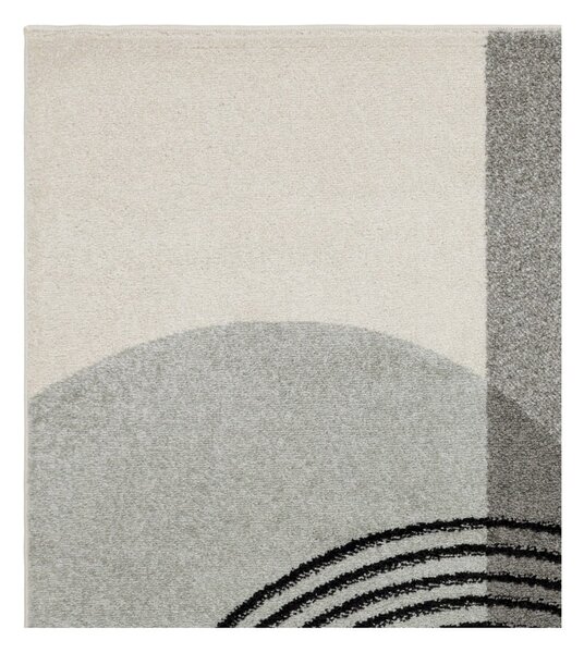 Dywan szary 170x120 cm Muse - Asiatic Carpets