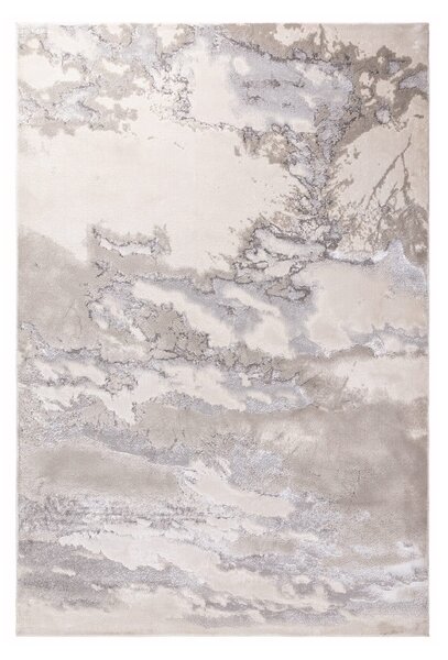 Szary dywan 170x120 cm Aurora - Asiatic Carpets