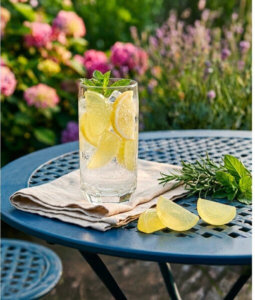 Plastikowe kostki chłodzące zestaw 20 szt. Lemon – Orion