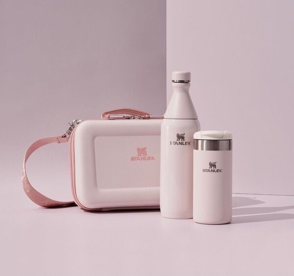 Lunchbox All Day Arista Mini Lunch Box Rose Quartz – Stanley