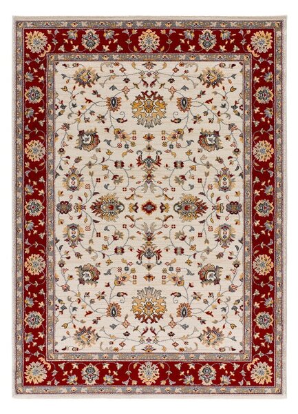 Czerwono-kremowy dywan 80x150 cm Classic – Universal