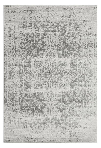 Szary dywan 200x290 cm Nova – Asiatic Carpets