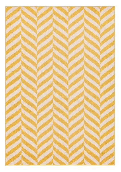 Żółty dywan 170x120 cm Muse - Asiatic Carpets