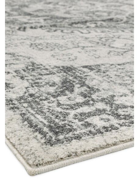Szary/kremowy dywan 200x290 cm Nova – Asiatic Carpets