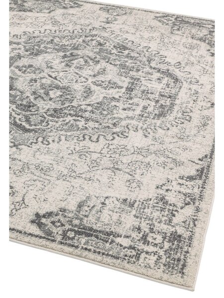 Szary/kremowy dywan 200x290 cm Nova – Asiatic Carpets