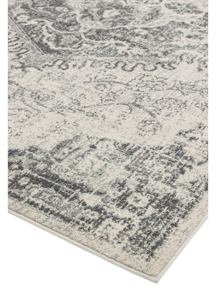 Szary/kremowy dywan 200x290 cm Nova – Asiatic Carpets