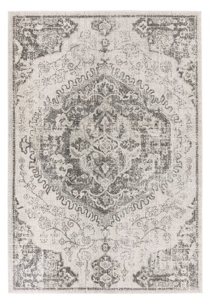 Szary/kremowy dywan 200x290 cm Nova – Asiatic Carpets
