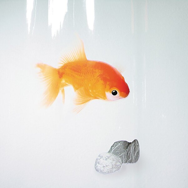Zasłona prysznicowa 180x200 cm Goldfish – Spirella