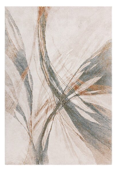 Niebieski/kremowy dywan 120x170 cm Mirage Illusion – Asiatic Carpets