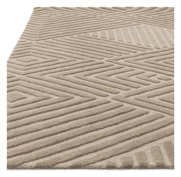 Jasnobrązowy dywan wełniany 120x170 cm Hague – Asiatic Carpets