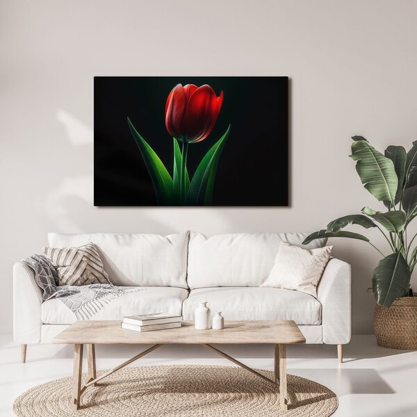 Obraz czerwona elegancja tulipana