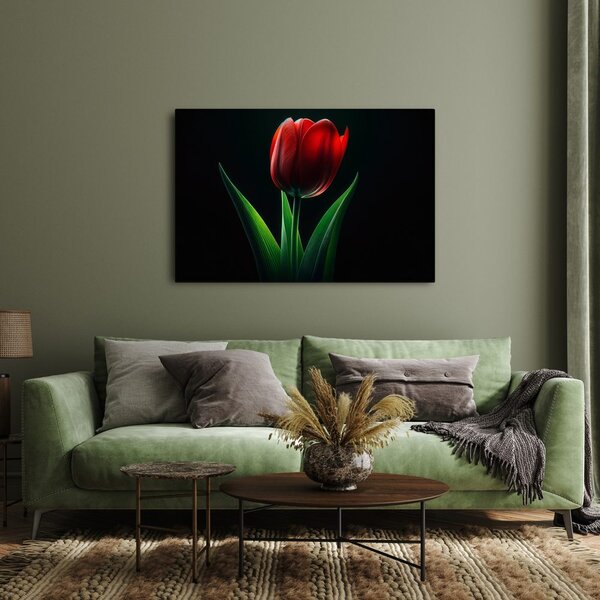 Obraz czerwona elegancja tulipana