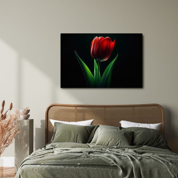 Obraz czerwona elegancja tulipana