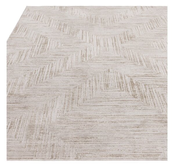 Kremowy dywan 200x300 cm Anders Beige Natural – Asiatic Carpets