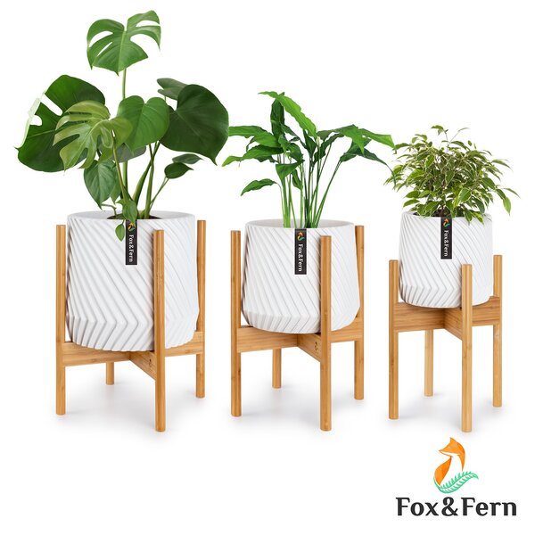 Fox & Fern Zeist, kwietnik, stojak na kwiaty, zestaw 3 szt., 2 wysokości, dowolne łączenie, kolor naturalny