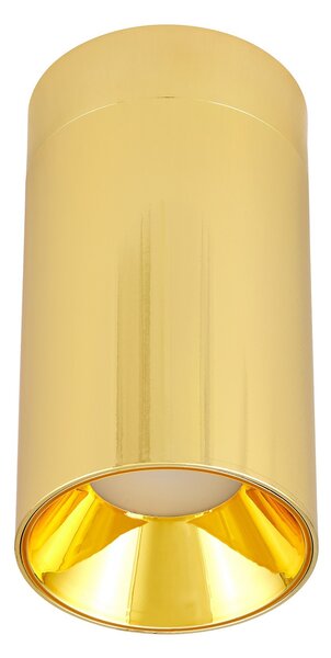 OPRAWA NATYNKOWA SPOT TUBA ZŁOTA FLOR W1